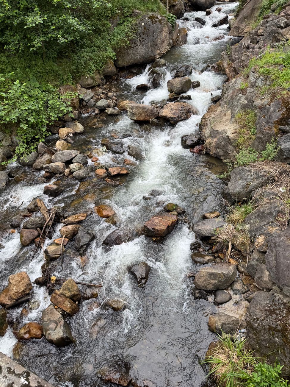 A serene mountain stream cascades over rocks in a lush, forested area.