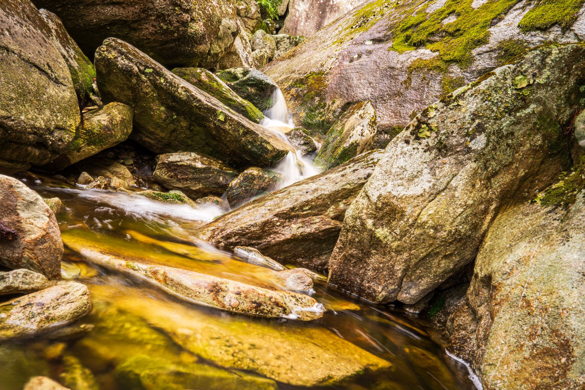 A serene stream flows through moss-covered rocks in a tranquil mountain wilderness.