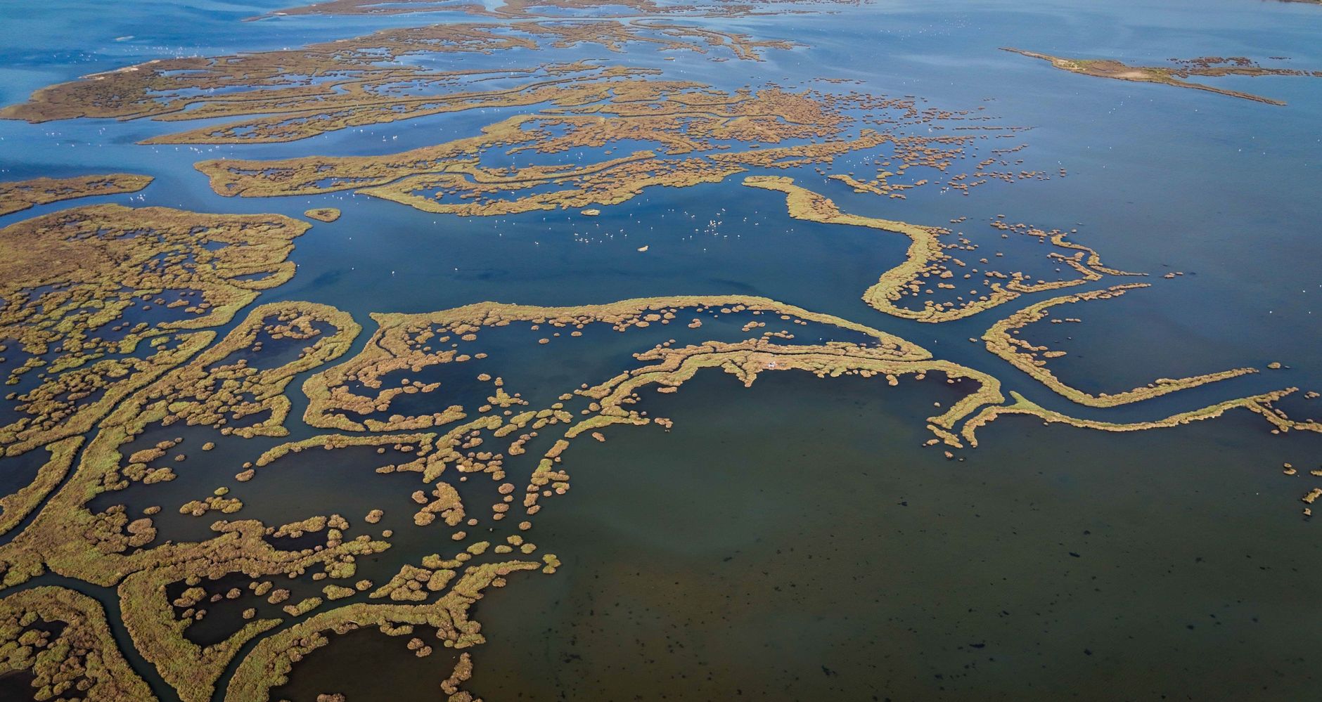 Stunning aerial capture of wetlands in İzmir, highlighting intricate waterways and lush flora.