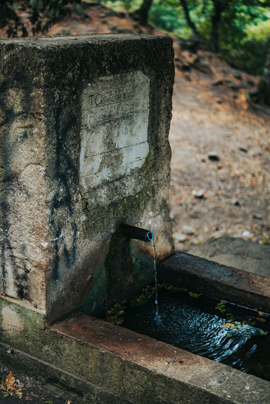 A stone water fountain with flowing stream in an outdoor forest setting.